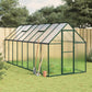 Serre en aluminium verte 445x169x195 cm avec cadre de base
